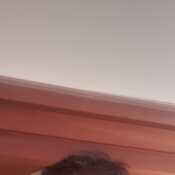 eduardob223