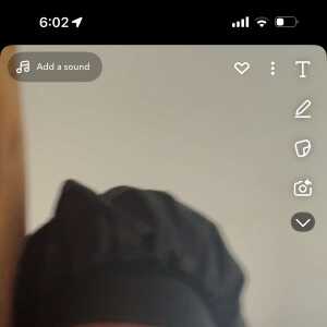 MajesticPrincess16a0f6