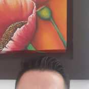 fabianp538