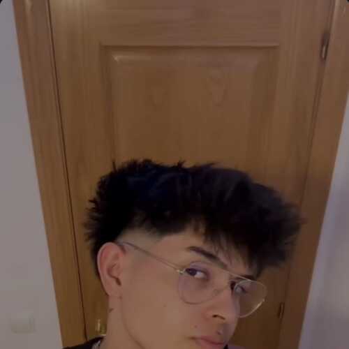 Pollo