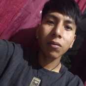 Ferdluis