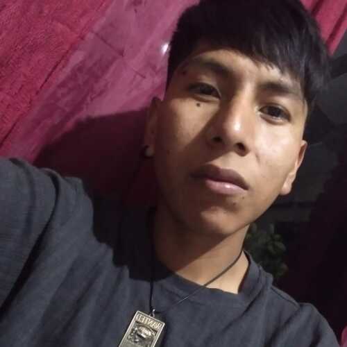 Ferdluis