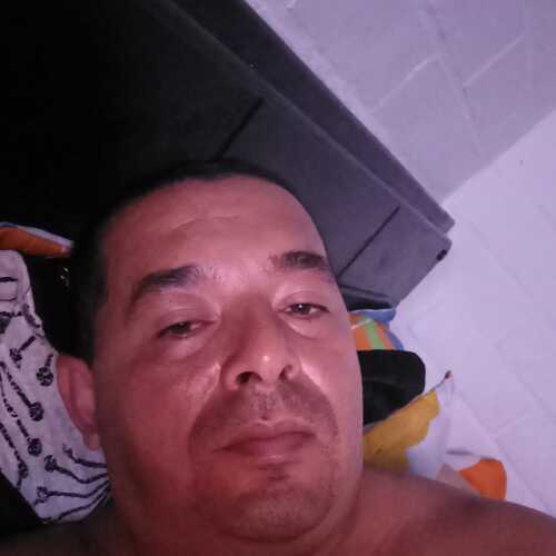 alexherr232