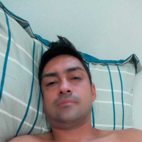 Tigre228