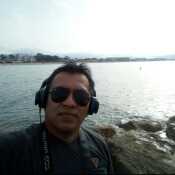 willygalla443