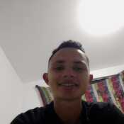loboei741