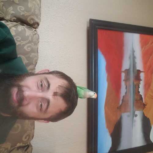 shlazy187
