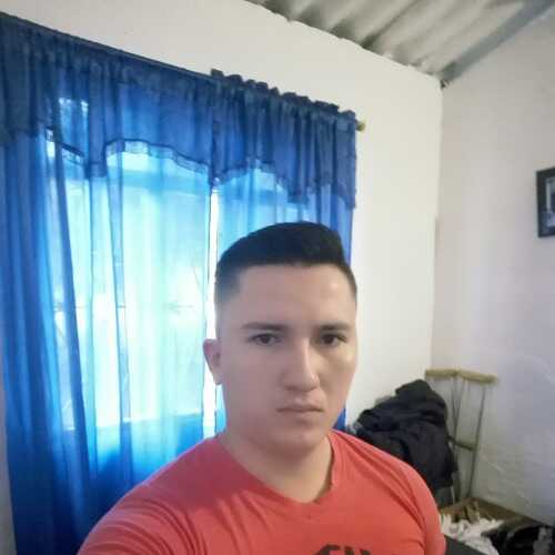 protolik532