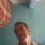 pite233