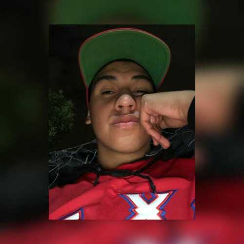 Dylanldz20