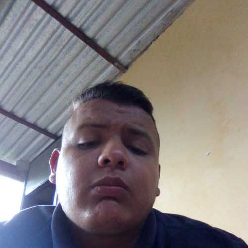Bonice123