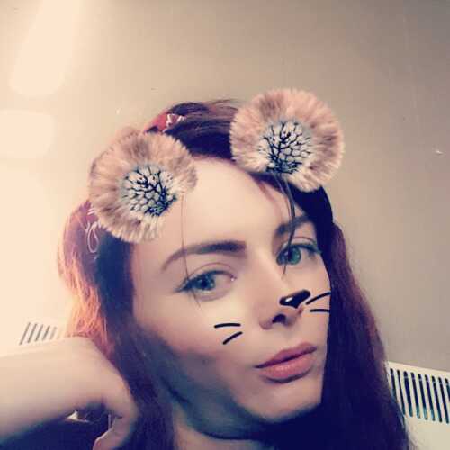 Pawsy