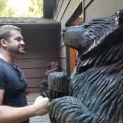 DomBear86