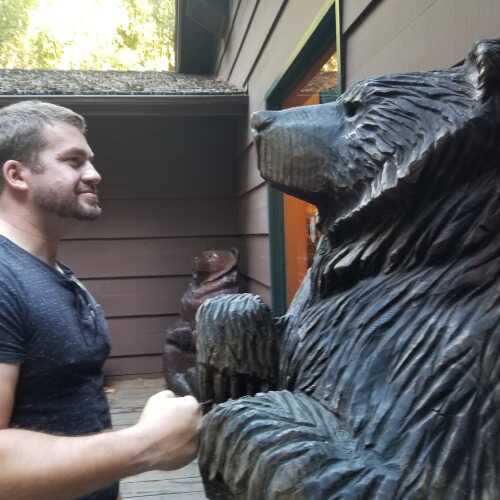 DomBear86