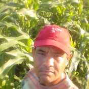 bericotodan123