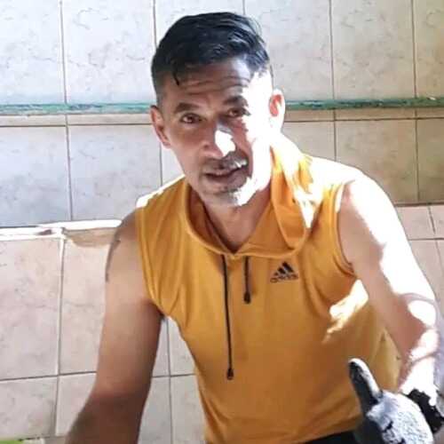 hernandezramir641