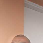 nevets1134