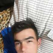 Alejandrocolla555