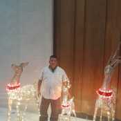 Hector noe