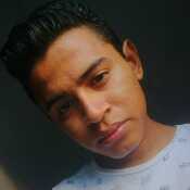 Wolfi97