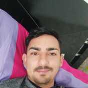 pelifepov389