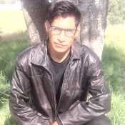 betobet203