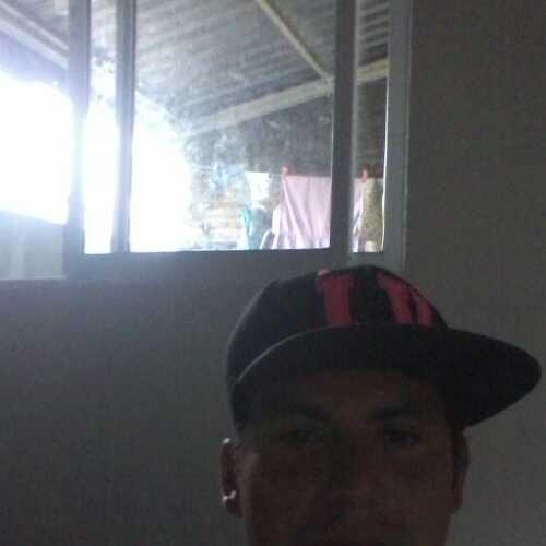 loey271