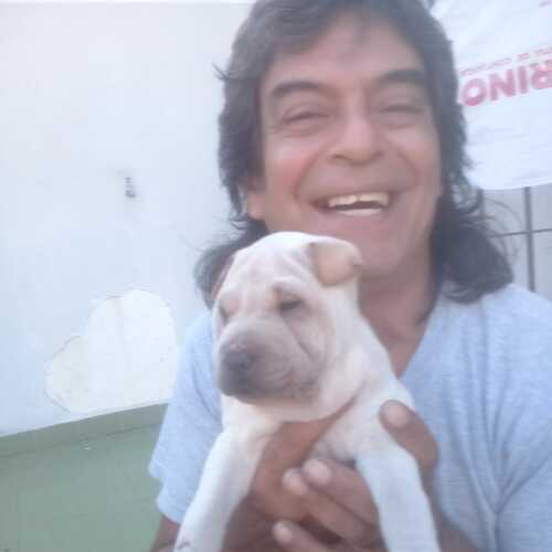 eduargent595