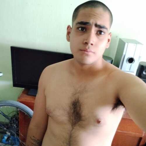 kikir203