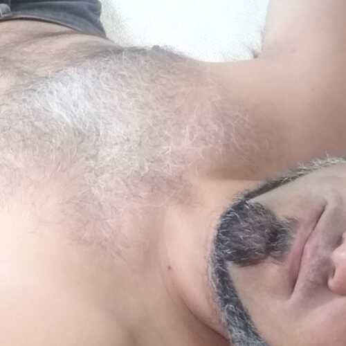 Tolito