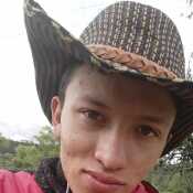 sanchezcalverawill165