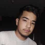 alessandromo019