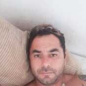 dealem661