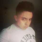 Elver202