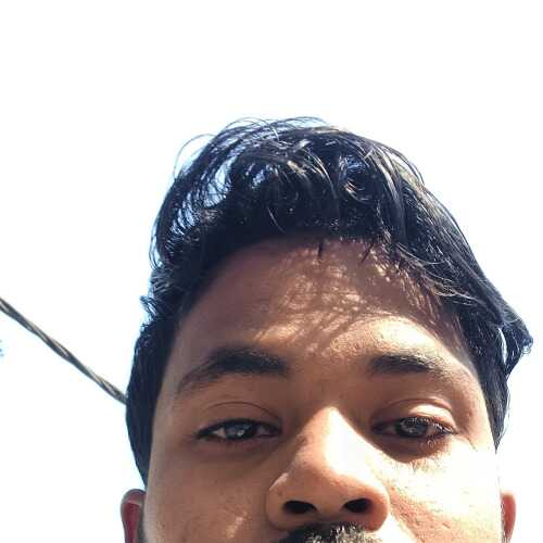Babul bs