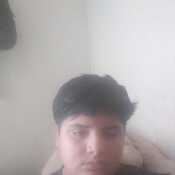 alejodon841