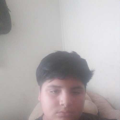 alejodon841