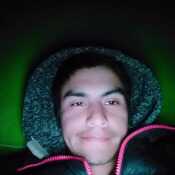 Alexan503