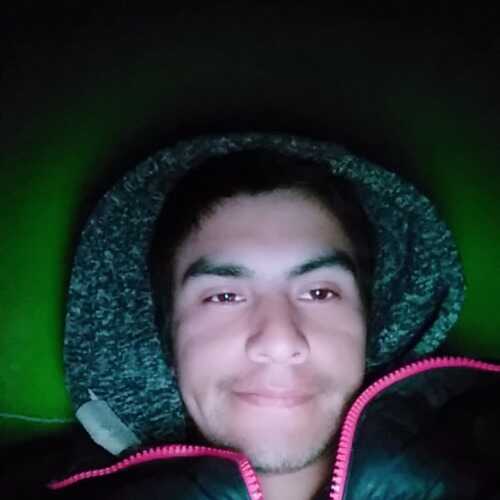 Alexan503