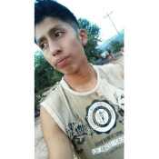 fabian667