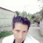 andreseses