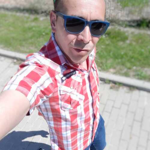 elch375