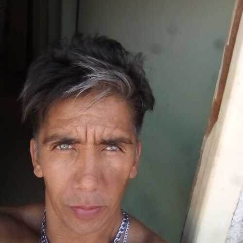 ferny29