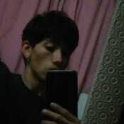 gasus