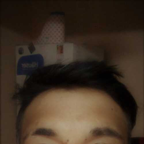dele210