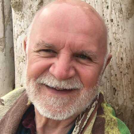 Donkey profile photo