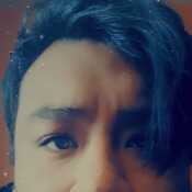 Abachi