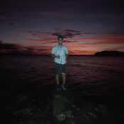David