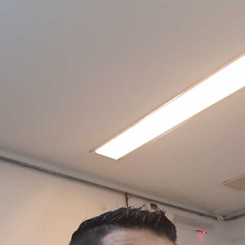 diegobonjovi
