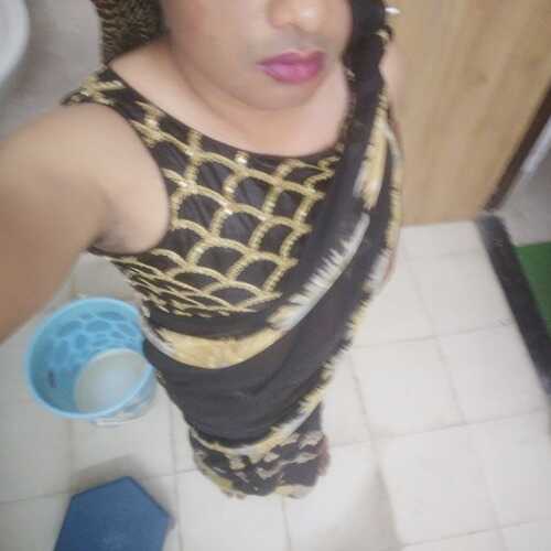 dollyc460